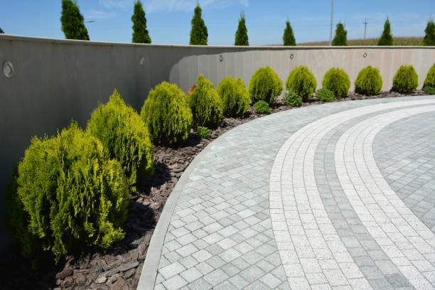 Best Driveway Paver Repair  in Bentonville, AR